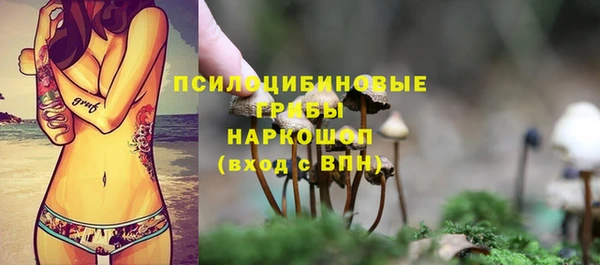 хмурый Алексин