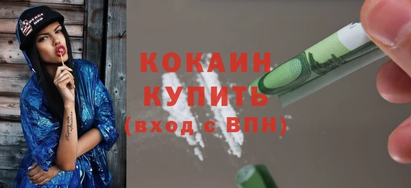 хмурый Алексин