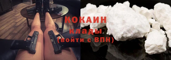 крисы Алзамай