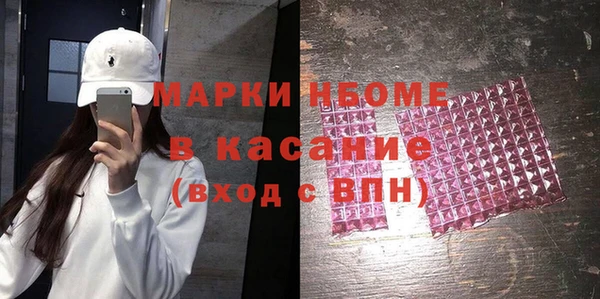 хмурый Алексин