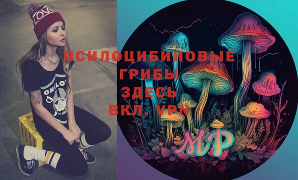 хмурый Алексин