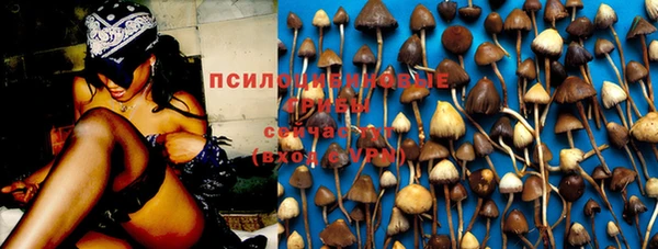 хмурый Алексин