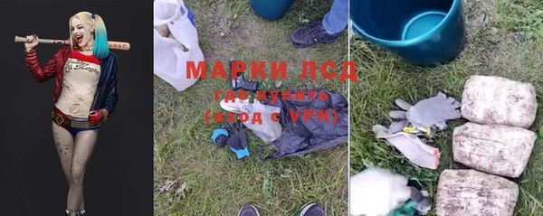 хмурый Алексин